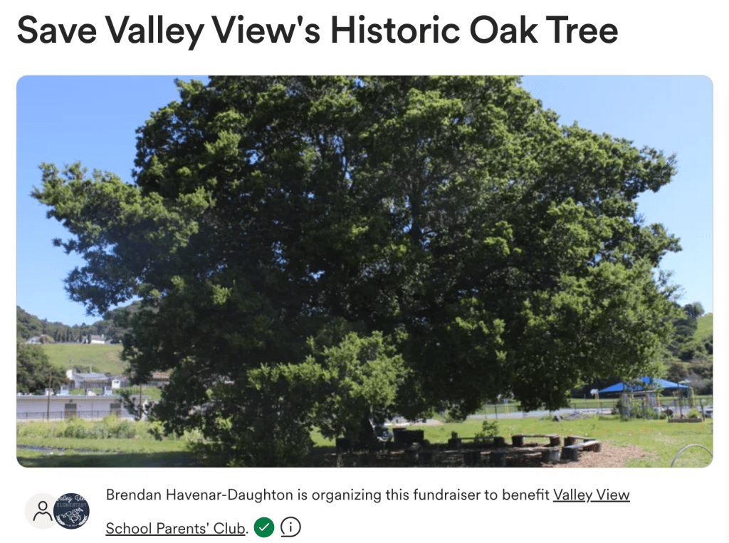 Valley View Go Fund Me - Save the historic Oak Tree