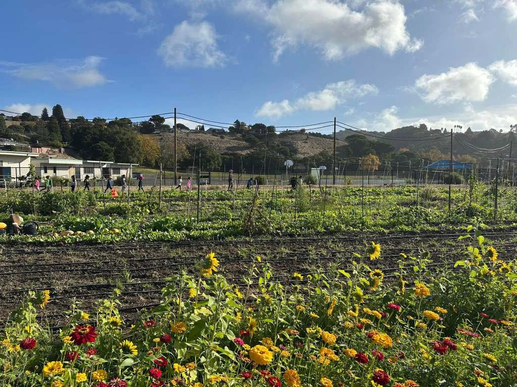 Valley View Garden and Farm